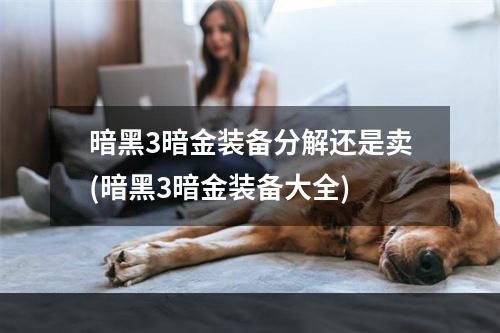 暗黑3暗金装备分解还是卖(暗黑3暗金装备大全)