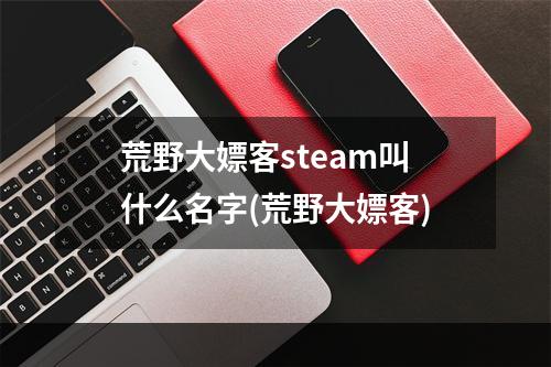 荒野大嫖客steam叫什么名字(荒野大嫖客)