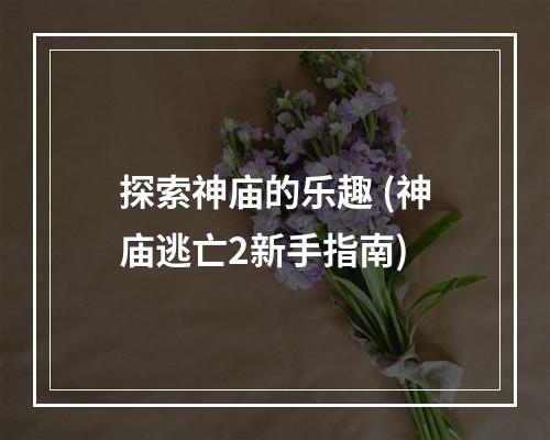 探索神庙的乐趣 (神庙逃亡2新手指南)