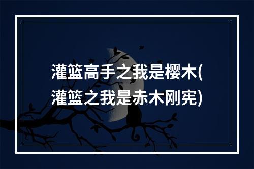 灌篮高手之我是樱木(灌篮之我是赤木刚宪)