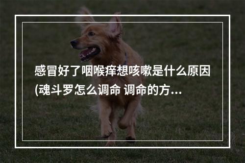 感冒好了咽喉痒想咳嗽是什么原因(魂斗罗怎么调命 调命的方法)