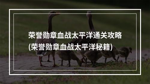 荣誉勋章血战太平洋通关攻略(荣誉勋章血战太平洋秘籍)