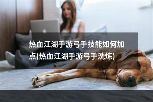 热血江湖手游弓手技能如何加点(热血江湖手游弓手洗炼)