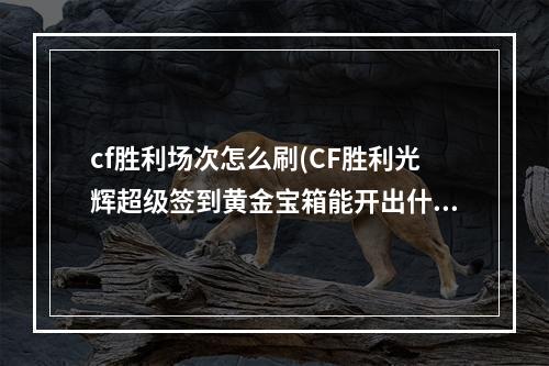 cf胜利场次怎么刷(CF胜利光辉超级签到黄金宝箱能开出什么 黄金宝箱内容)