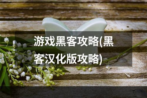 游戏黑客攻略(黑客汉化版攻略)