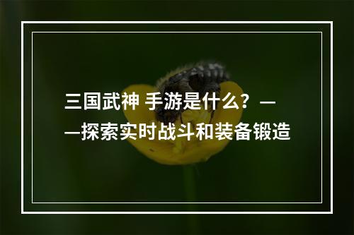 三国武神 手游是什么？——探索实时战斗和装备锻造