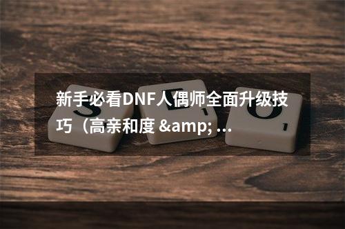 新手必看DNF人偶师全面升级技巧（高亲和度 & 优秀装备）