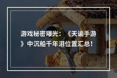 游戏秘密曝光：《天谕手游》中沉船千年泪位置汇总！