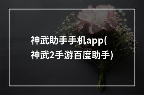 神武助手手机app(神武2手游百度助手)