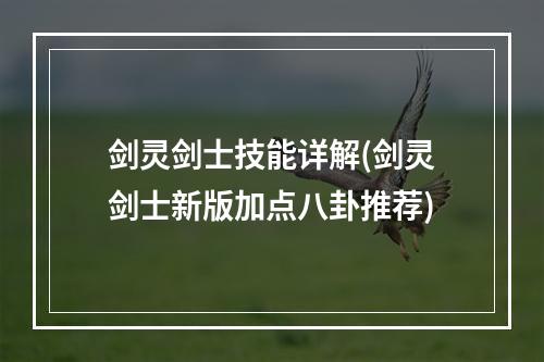 剑灵剑士技能详解(剑灵剑士新版加点八卦推荐)