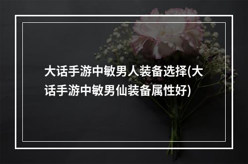 大话手游中敏男人装备选择(大话手游中敏男仙装备属性好)