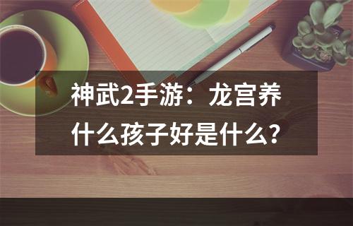 神武2手游：龙宫养什么孩子好是什么？