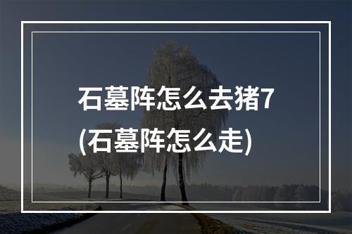 石墓阵怎么去猪7(石墓阵怎么走)