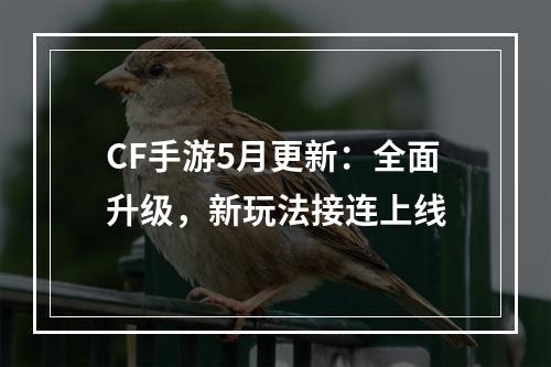 CF手游5月更新：全面升级，新玩法接连上线