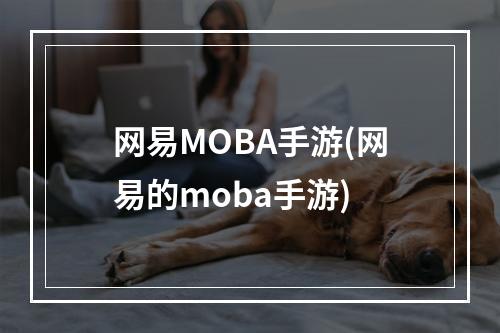 网易MOBA手游(网易的moba手游)