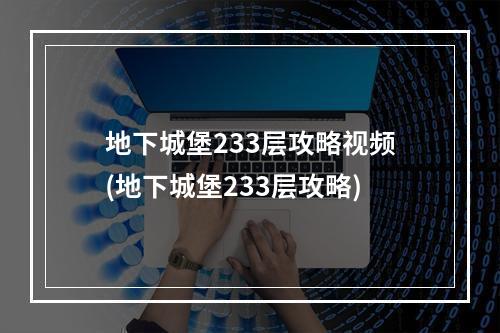 地下城堡233层攻略视频(地下城堡233层攻略)