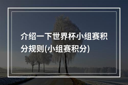 介绍一下世界杯小组赛积分规则(小组赛积分)