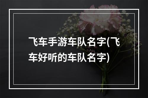 飞车手游车队名字(飞车好听的车队名字)