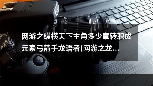 网游之纵横天下主角多少章转职成元素弓箭手龙语者(网游之龙语者)