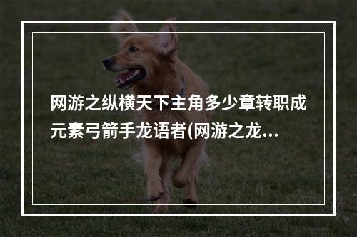 网游之纵横天下主角多少章转职成元素弓箭手龙语者(网游之龙语者)