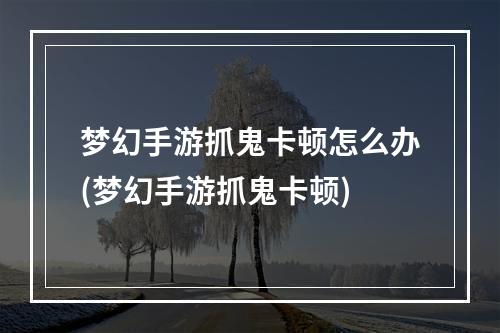 梦幻手游抓鬼卡顿怎么办(梦幻手游抓鬼卡顿)