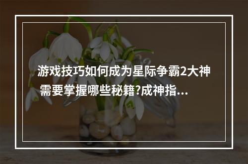 游戏技巧如何成为星际争霸2大神 需要掌握哪些秘籍?成神指南