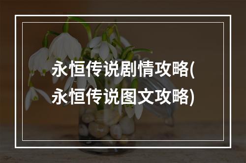 永恒传说剧情攻略(永恒传说图文攻略)