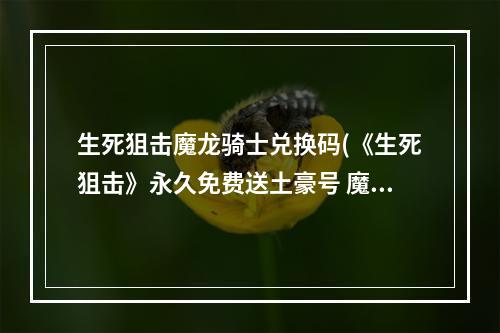 生死狙击魔龙骑士兑换码(《生死狙击》永久免费送土豪号 魔龙骑士好号和密码)