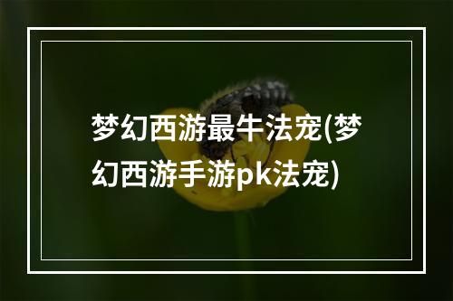 梦幻西游最牛法宠(梦幻西游手游pk法宠)