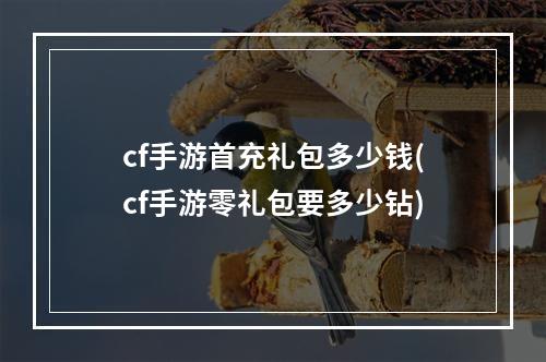 cf手游首充礼包多少钱(cf手游零礼包要多少钻)