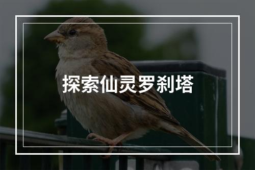 探索仙灵罗刹塔