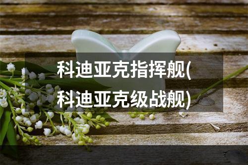 科迪亚克指挥舰(科迪亚克级战舰)