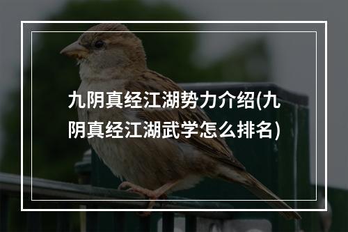 九阴真经江湖势力介绍(九阴真经江湖武学怎么排名)