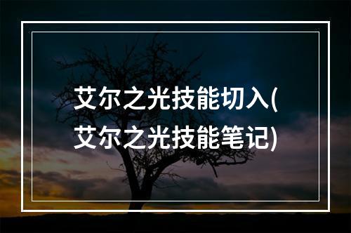 艾尔之光技能切入(艾尔之光技能笔记)