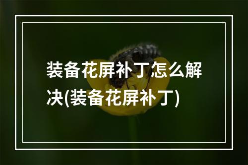 装备花屏补丁怎么解决(装备花屏补丁)