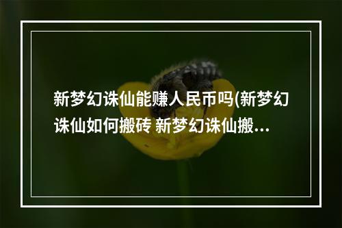 新梦幻诛仙能赚人民币吗(新梦幻诛仙如何搬砖 新梦幻诛仙搬砖方法汇总分享)