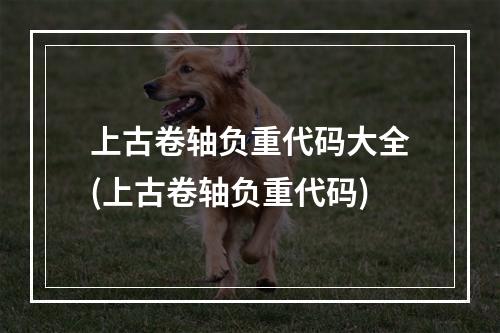 上古卷轴负重代码大全(上古卷轴负重代码)