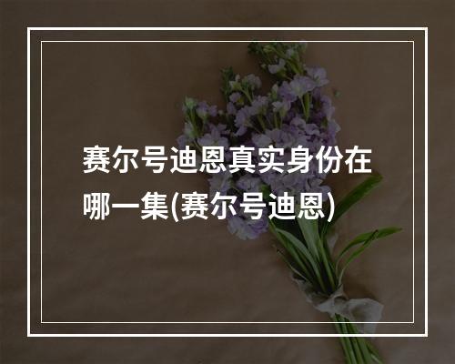 赛尔号迪恩真实身份在哪一集(赛尔号迪恩)