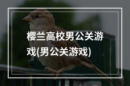 樱兰高校男公关游戏(男公关游戏)