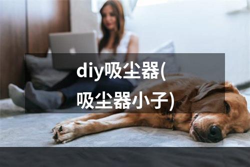 diy吸尘器(吸尘器小子)