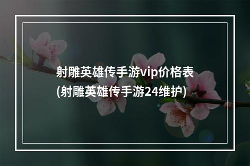 射雕英雄传手游vip价格表(射雕英雄传手游24维护)