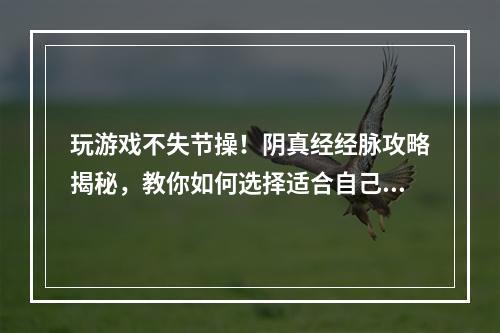 玩游戏不失节操！阴真经经脉攻略揭秘，教你如何选择适合自己的闪闪女郎