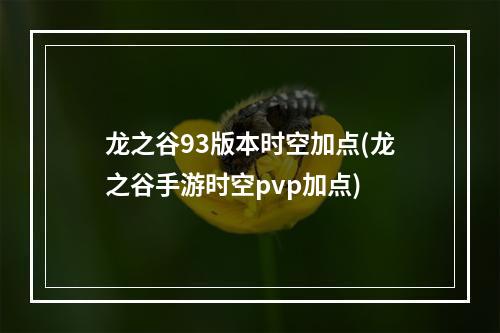 龙之谷93版本时空加点(龙之谷手游时空pvp加点)