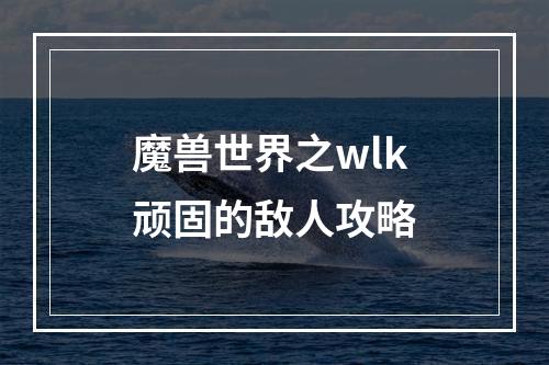 魔兽世界之wlk顽固的敌人攻略