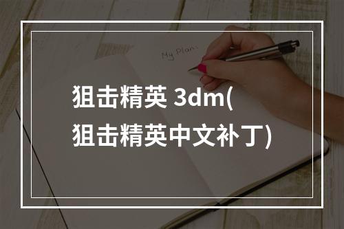 狙击精英 3dm(狙击精英中文补丁)