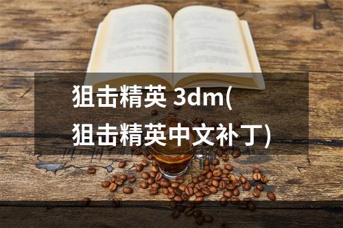 狙击精英 3dm(狙击精英中文补丁)