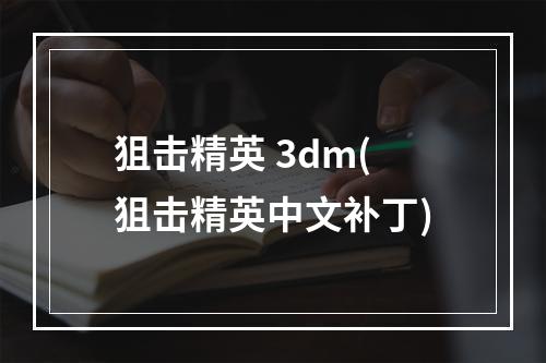 狙击精英 3dm(狙击精英中文补丁)