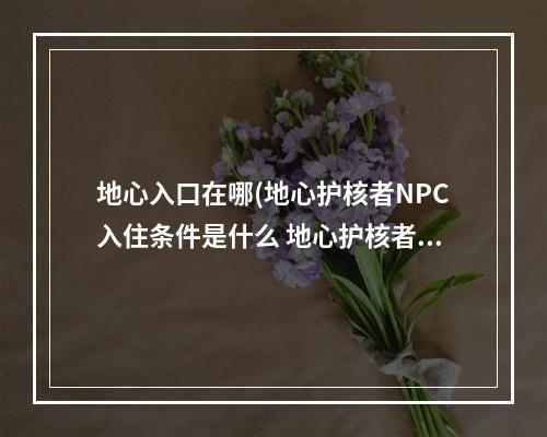 地心入口在哪(地心护核者NPC入住条件是什么 地心护核者NPC入住条件)