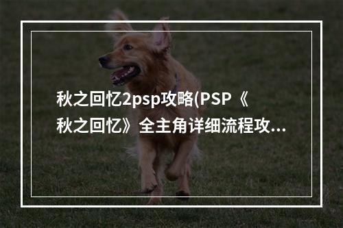 秋之回忆2psp攻略(PSP《秋之回忆》全主角详细流程攻略)