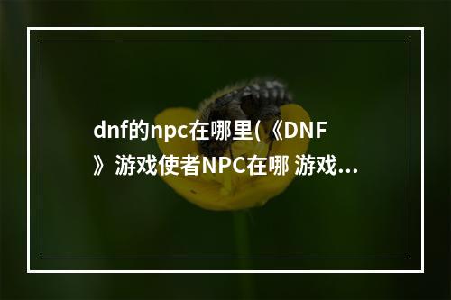 dnf的npc在哪里(《DNF》游戏使者NPC在哪 游戏使者NPC位置介绍 机游 )